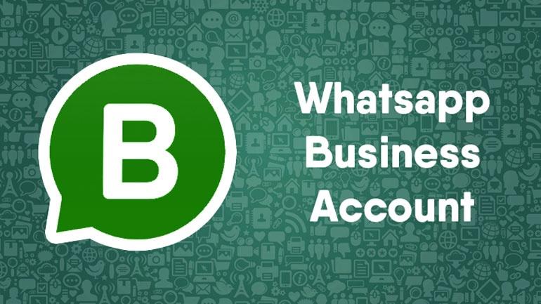 whatsapp business